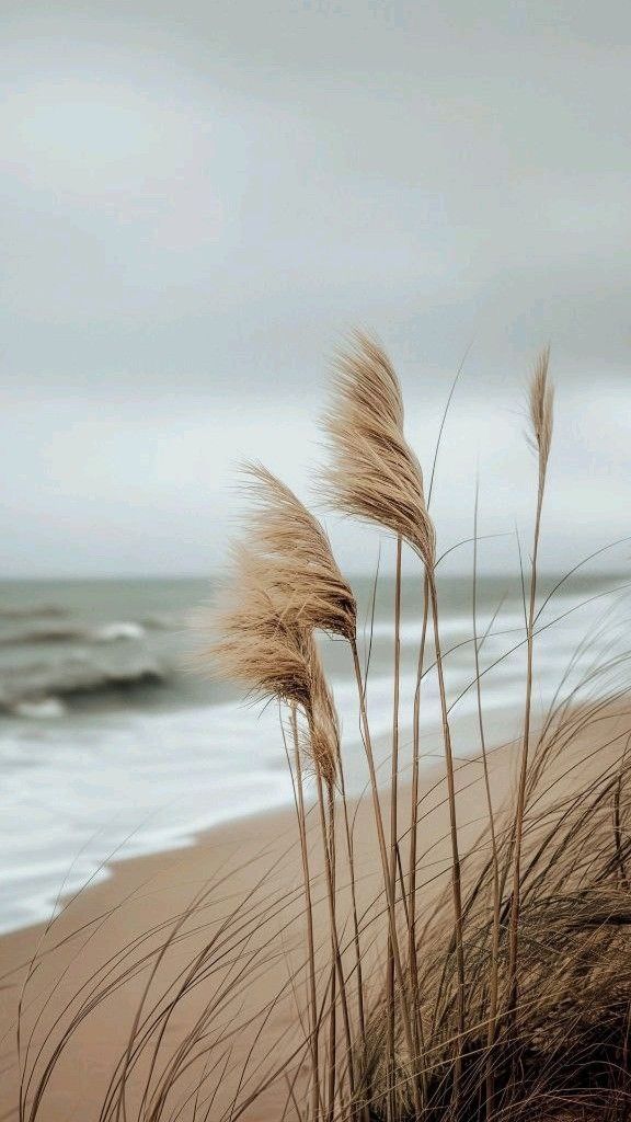 Faith for the Long Road: Trusting God When the Journey Feels Uncertain
