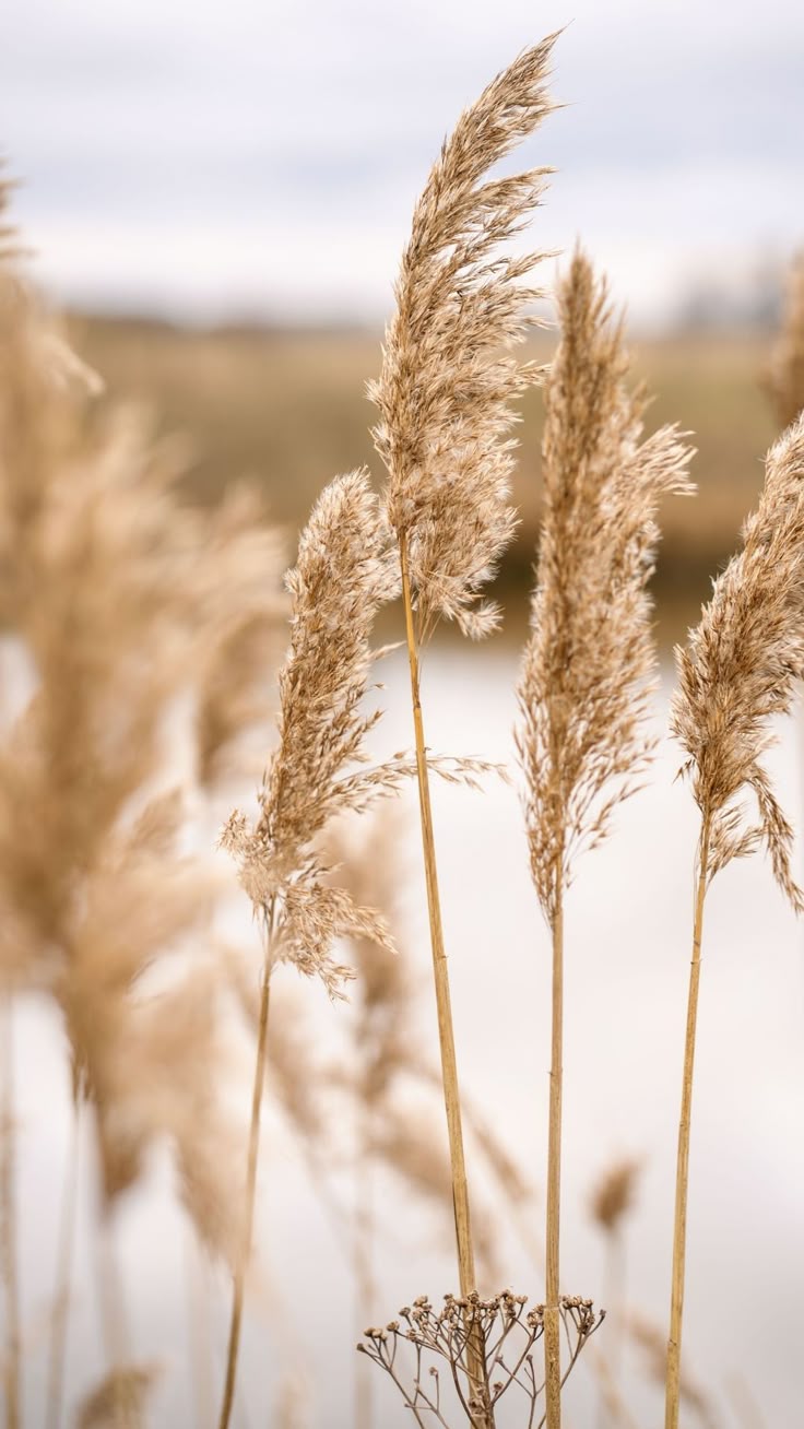 Faith Over Feelings: Walking When You'd Rather Quit