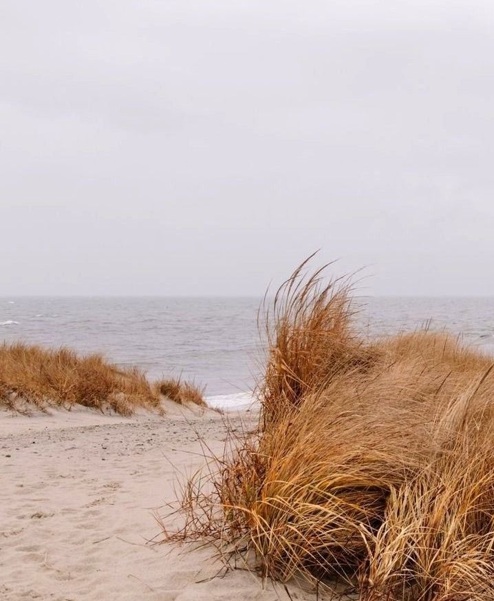 Planted, Not Stuck: How Faith Transforms Waiting Seasons