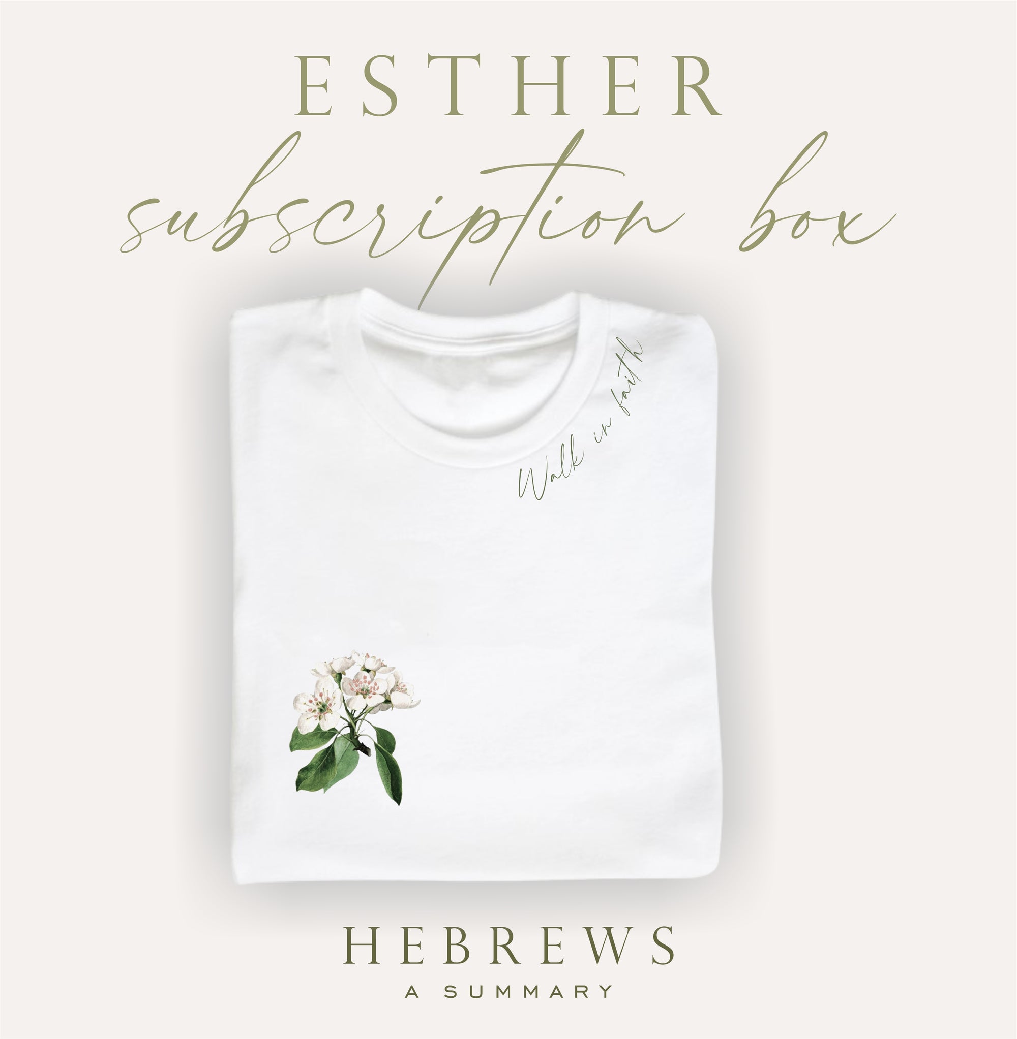 Esther Subscription Box - Hebrews - 6 Months Prepaid