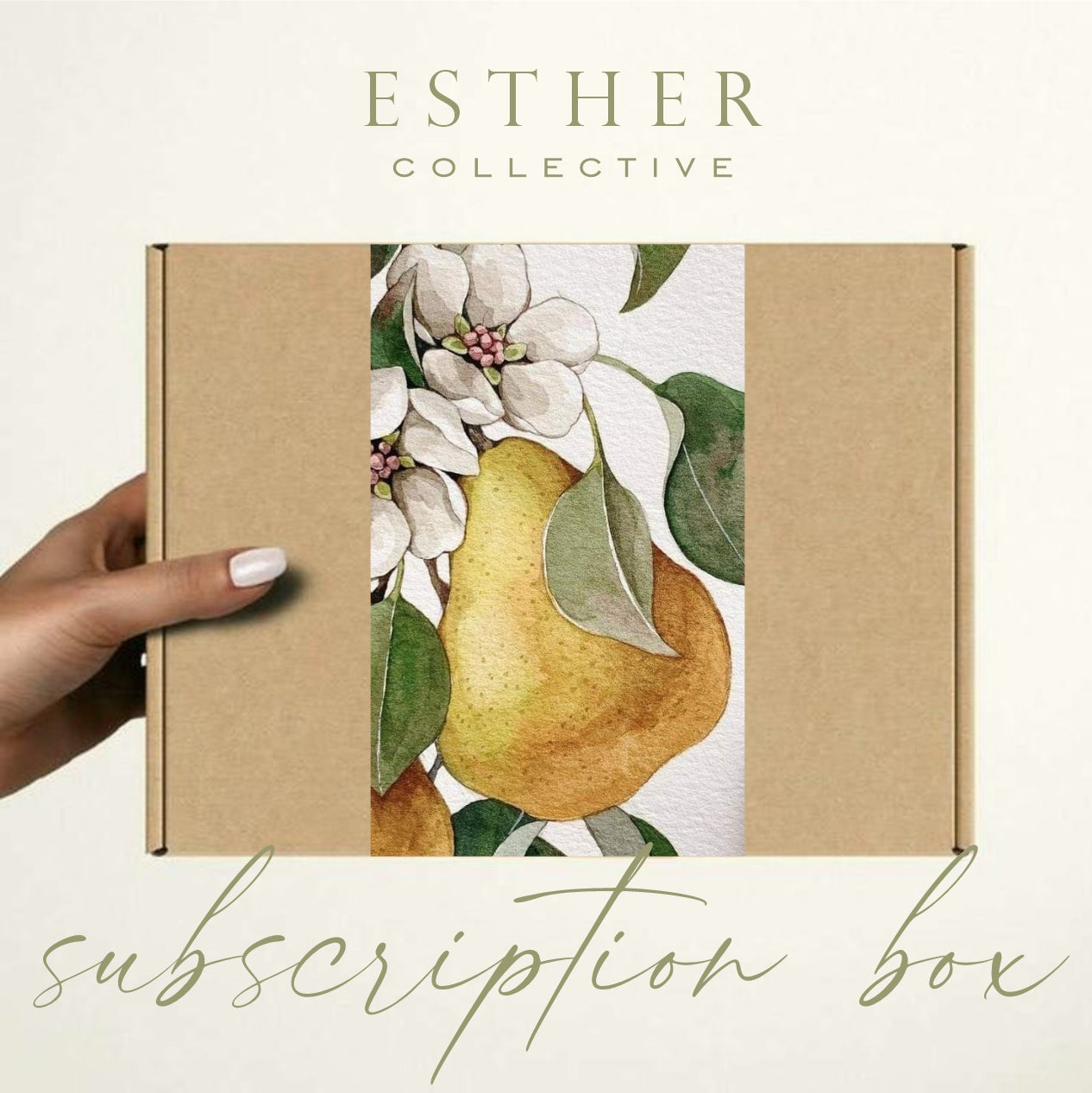 Esther Subscription Box - Hebrews - 6 Months Prepaid